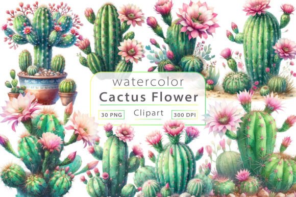 Download Watercolor Cactus Sublimation Clipart - Cactus sublimation Collection